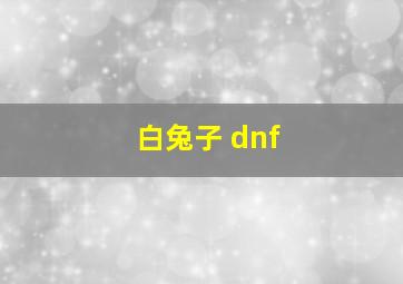 白兔子 dnf